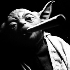 Yoda's Bro