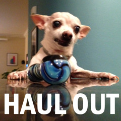 HAUL OUT