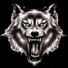 Wolf Wolfman