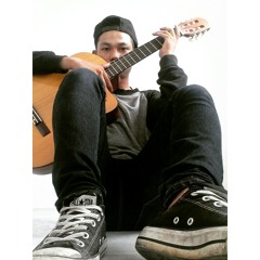 willis_pyd