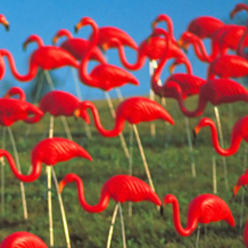 Stream Flamingo Heat music Listen to songs, albums, playlists for