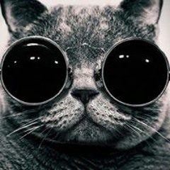 Dravon Shawnee Stick