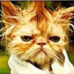 Nicole Chambers-Bowman