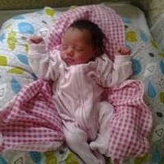 Munchy Lucas Brasi Daniel