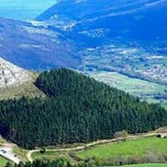 Erella Still Dreamin