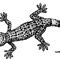 gekko