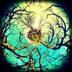 crean sound creations