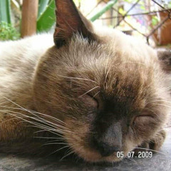 Michael Wong Chou Khong