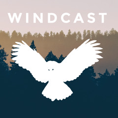 WindCast