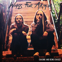 Wings For Armor