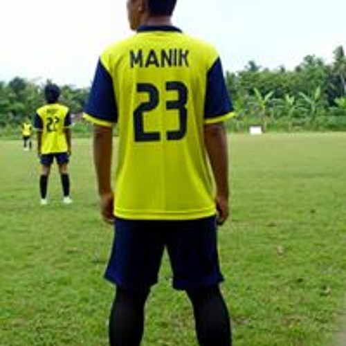 Manik Nur Edi’s avatar