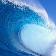 Dương Tiến Dũng