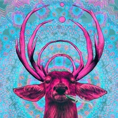 TrippyKing