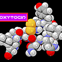Oxytocin