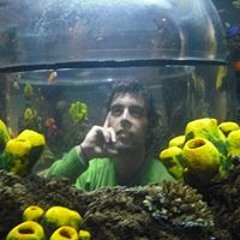 Nuno Ovídio Carneiro