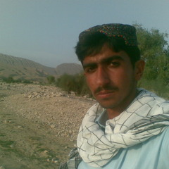 Shado Jaan Bugti