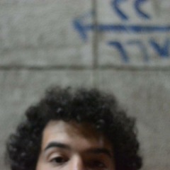 Mohammed Abdel Fattah