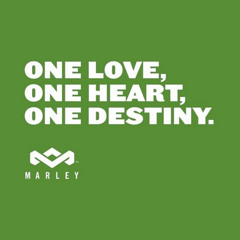 onelove