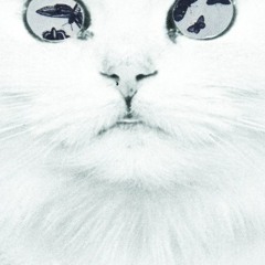 katt.Horak