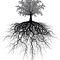 Tree Newby