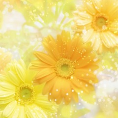 قلبي يبيك ولا يبي غيرك انسان