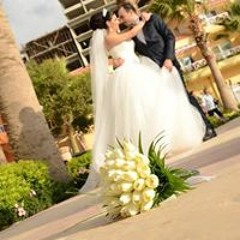 Elias Sally Alshhada