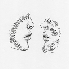Fetu Sol