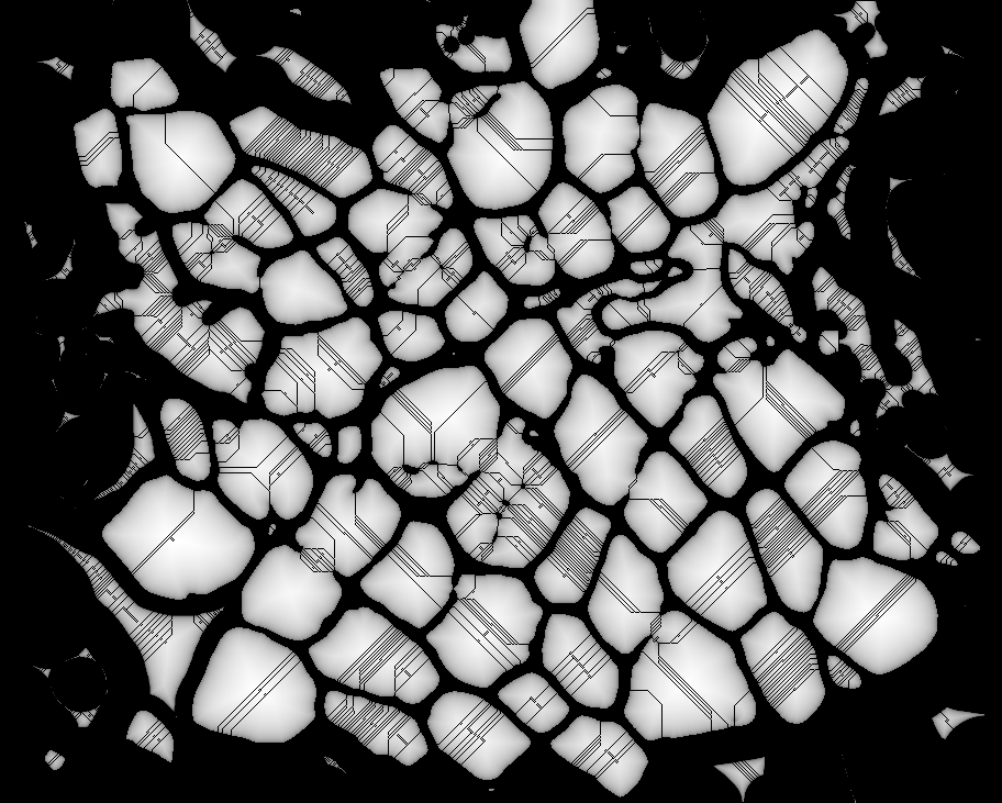 Labradores cover art