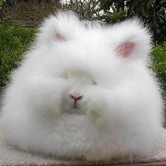 biotuuu