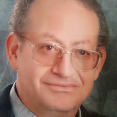 Mahmoud Elenany