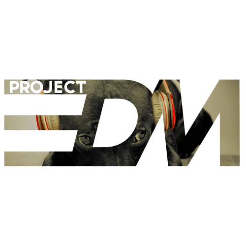 ProjectEDM’s avatar