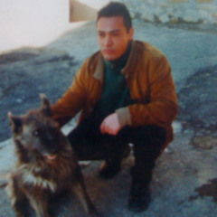 Alberto Selvi