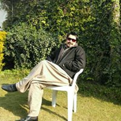 Malak Usman Shahzada’s avatar