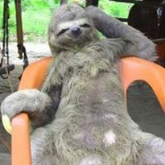 Federico Derek Basconi