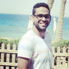 Mohamed A Gaafer
