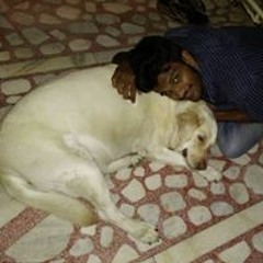 Nishil Brahmbhatt