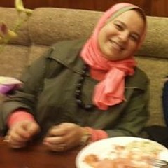 Noha Elalami