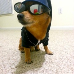 Luiz Andrade Brito Cruz