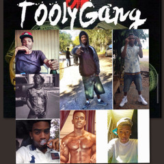 TOOLYGANG ( TBG )
