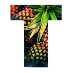 ☼ TROPICAL ☼