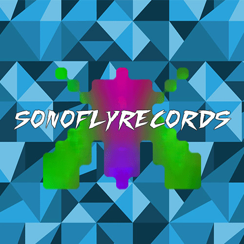 Sonoflyrecords’s avatar
