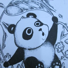 Sleeping Forest Band