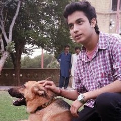 Mohdjoan Zaidi