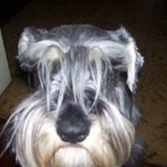 Mirta Cirrincione
