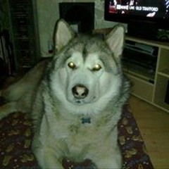 Traceyandgraham Shadbolt