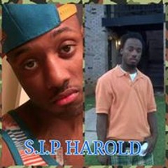 Msdramafree Phillips