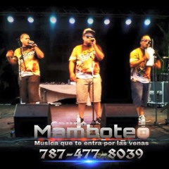 Grupo Mamboteo