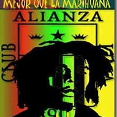 A̶n̶g̶g̶e̶l̶o̶