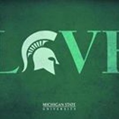 Ann Hudson Stinebring