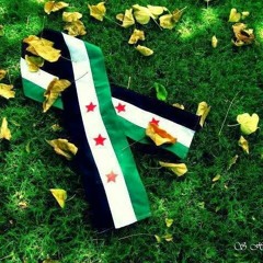 Alaa Alwan